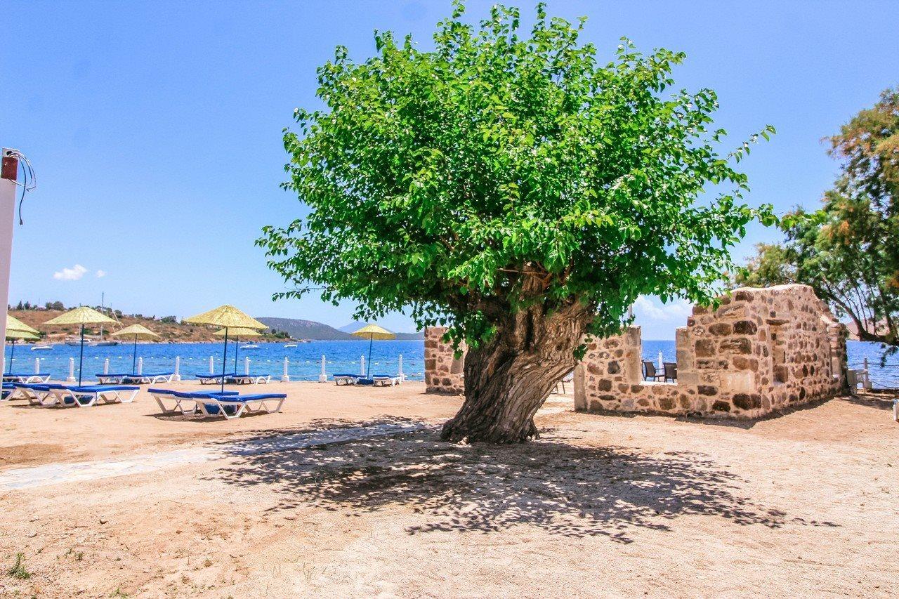 Club Muskebi Hotel Bodrum Ngoại thất bức ảnh
